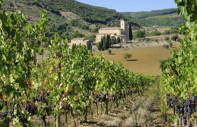 Brunello di Montalcino Wine Tour of 2 Wineries with Pairing Lunch - Key details at a glance