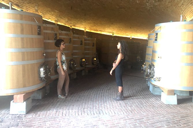 Brunello di Montalcino Wine Tour of 2 Wineries with Pairing Lunch - Montalcino and the medieval fortress