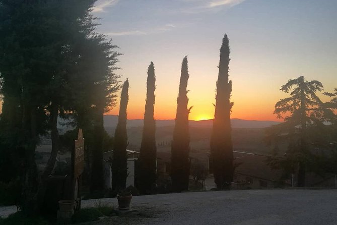 Brunello Wine Tour and Val D'Orcia Landscape - Seeing the UNESCO-listed Val d’Orcia by private car
