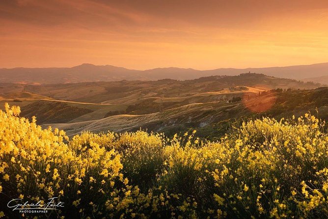 Brunello Wine Tour and Val D'Orcia Landscape - What you will learn about Brunello