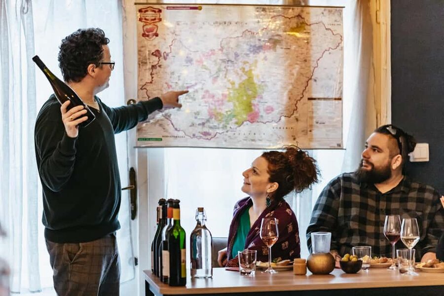 Budapest: Hungarian Wine Tasting with 8 Wines and Tapas - Local tapas make this more than a wine lecture