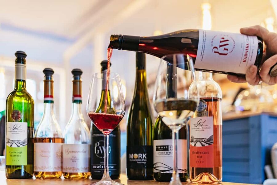 Budapest: Hungarian Wine Tasting with 8 Wines and Tapas - The guide is the heart of the experience