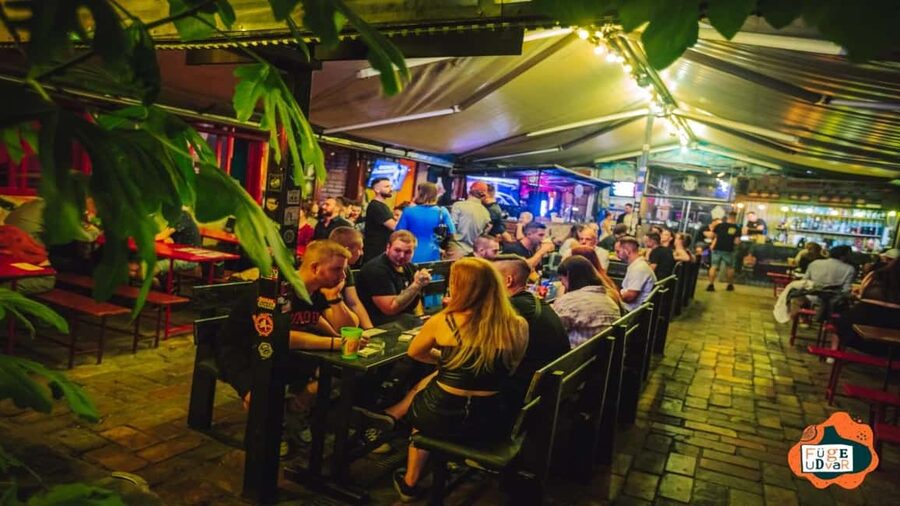 Budapest: Pub Crawl & Ruin Bar Tour – Free Shots & VIP Entry - What the $11 price really gets you