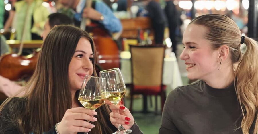 Budapest: Wine & Dine Cruise on the Danube - Key points at a glance