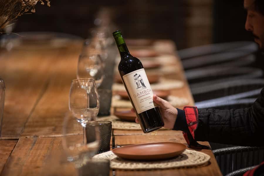 Buenos Aires: Wine Tasting and Lunch at Bodega Gamboa - Key details before you book