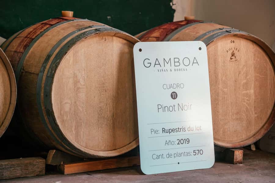 Buenos Aires: Wine Tasting and Lunch at Bodega Gamboa - The tasting format and what you will drink