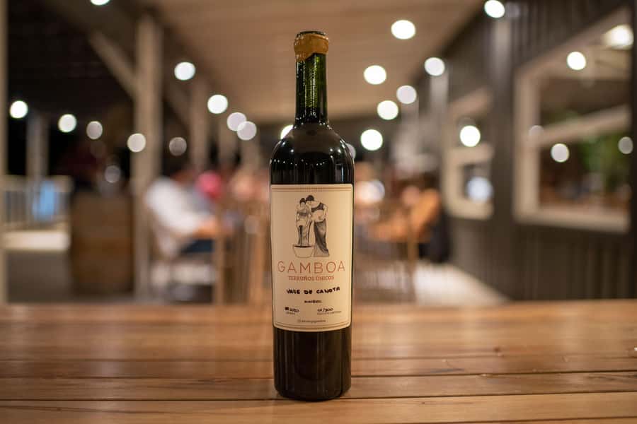 Buenos Aires: Wine Tasting and Lunch at Bodega Gamboa - Who will enjoy this day most