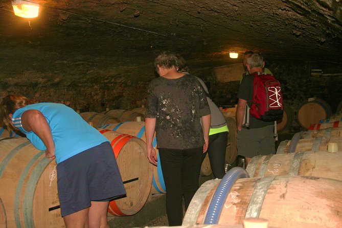 Burgundy Bike Tour with Wine Tasting from Beaune - Key points at a glance