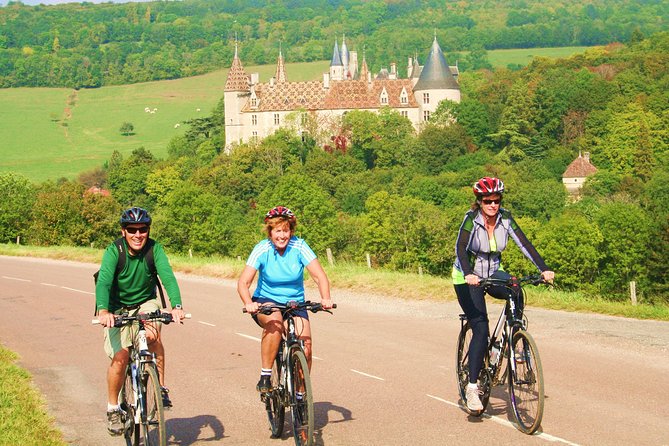 Burgundy Bike Tour with Wine Tasting from Beaune - The afternoon tasting around Pommard