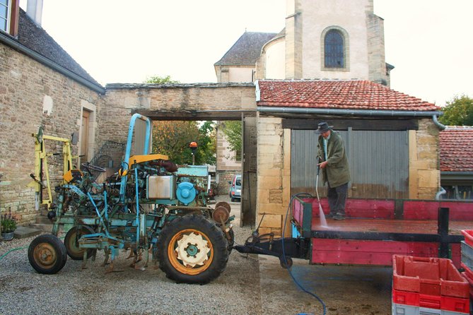 Burgundy Bike Tour with Wine Tasting from Beaune - What the guides add to the day
