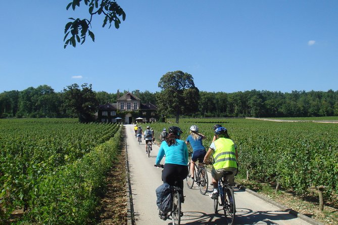 Burgundy Bike Tour with Wine Tasting from Beaune - Weather, clothing, and comfort