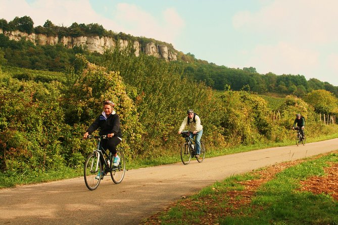 Burgundy Bike Tour with Wine Tasting from Beaune - Domaine Famille Picard and the first tasting
