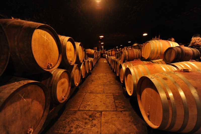 Burgundy Wines Full-Day Tasting Tour from Dijon - At a glance