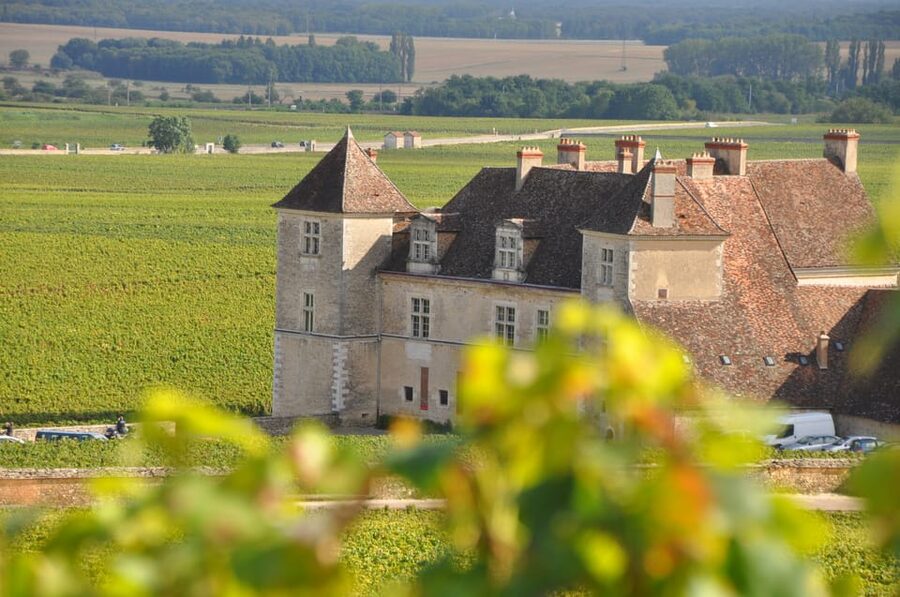 Burgundy Wines Full-Day Tasting Tour from Dijon - Corton hills and the Côte de Beaune