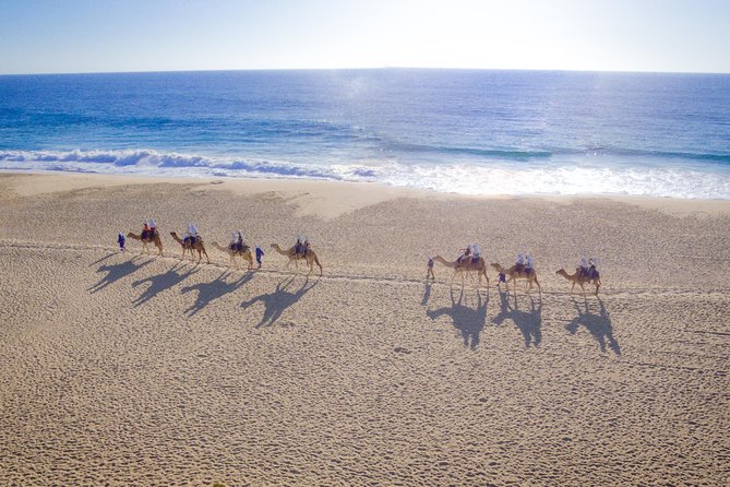 Cabo Beach Camel Ride, Mexican Buffet and Tequila Tasting - From Los Cabos to Rancho Tierra Sagrada