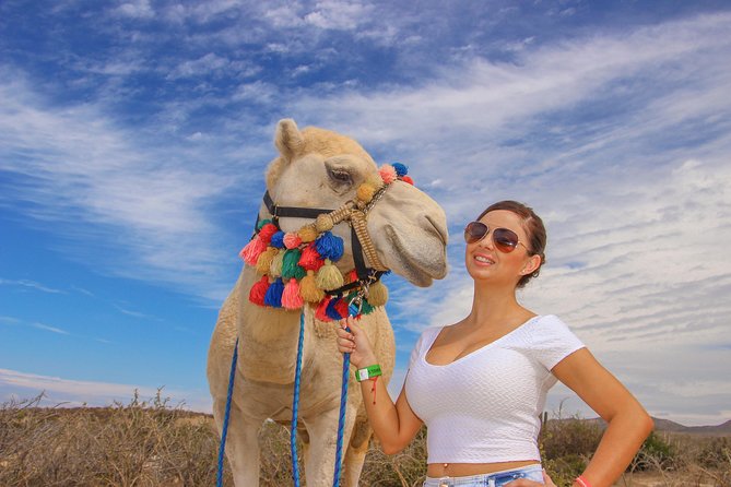 Cabo Beach Camel Ride, Mexican Buffet and Tequila Tasting - Lunch Beside the Sea
