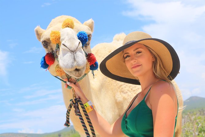 Cabo Beach Camel Ride, Mexican Buffet and Tequila Tasting - How Much Does This Cabo Camel Tour Really Cost?