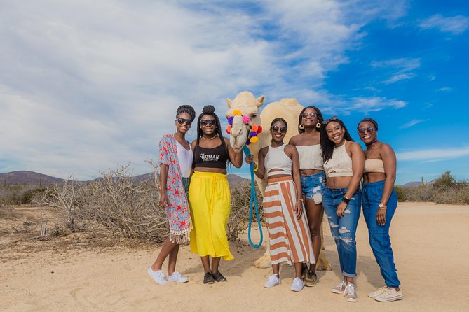 Cabo Beach Camel Ride, Mexican Buffet and Tequila Tasting - Should You Book the Cabo Camel Ride?
