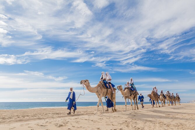 Cabo Beach Camel Ride, Mexican Buffet and Tequila Tasting - The 20-Minute Camel Ride