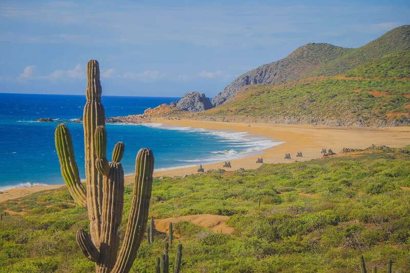 Cabo: Beach & Desert Single ATV Tour with Tequila Tasting - Desert trails, dry riverbeds, and open country