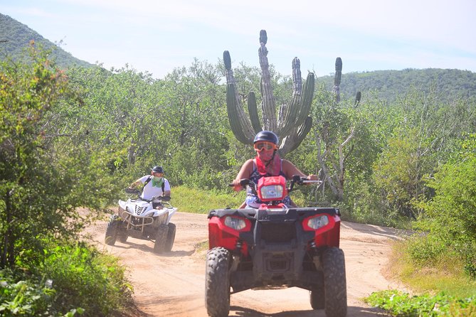 Cabo Candelaria Village Adventure + Tequila Tasting - La Candelaria brings a different side of Baja