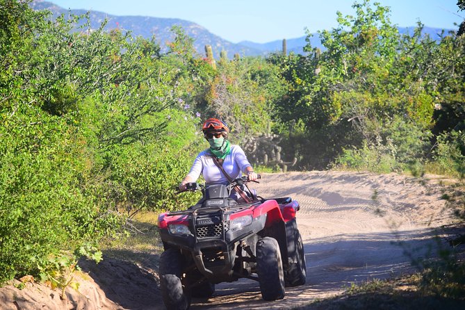 Cabo Candelaria Village Adventure + Tequila Tasting - Guides who shape the ride