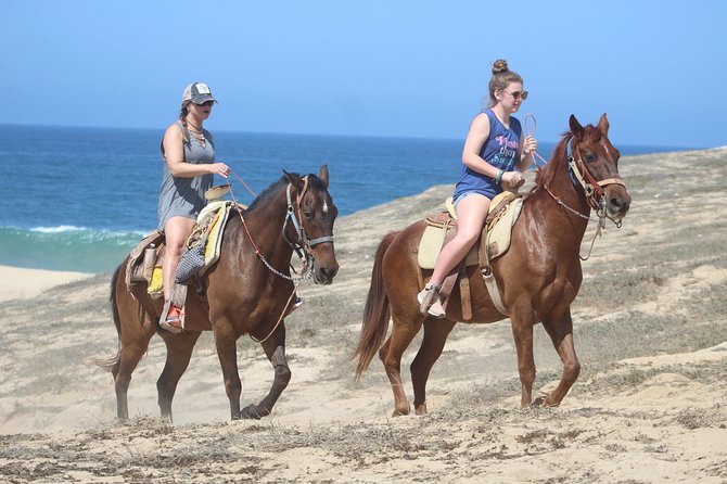 Cabo Desert Off-Road & Beach Horseback Combo and Tequila Tasting - Why the guides matter so much
