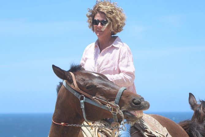 Cabo Desert Off-Road & Beach Horseback Combo and Tequila Tasting - The true price of the outing