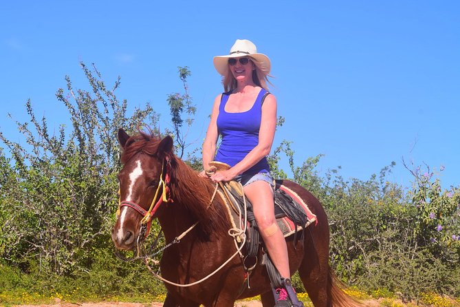 Cabo Desert Off-Road & Beach Horseback Combo and Tequila Tasting - Who should book this Cabo combo?