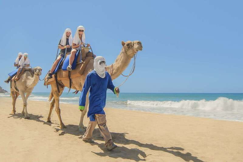 Cabo San Lucas: Camel Safari Tour with Lunch and Tequila - The 20-minute camel ride along the beach