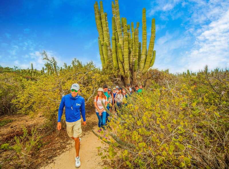 Cabo San Lucas: Camel Safari Tour with Lunch and Tequila - Tequila tasting with a social finish