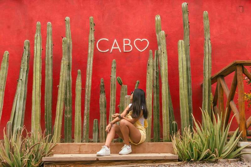Cabo San Lucas: Camel Safari Tour with Lunch and Tequila - A short desert walk with a purpose