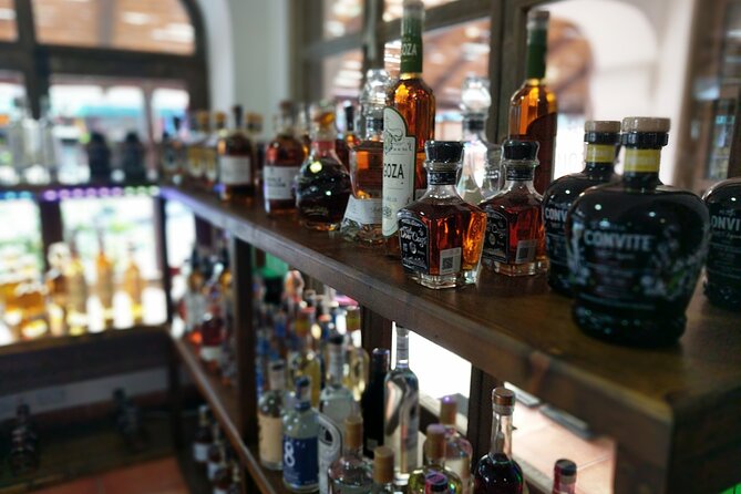 Cabo San Lucas Tequila Tasting Experience - Food pairings that make the spirits easier to understand