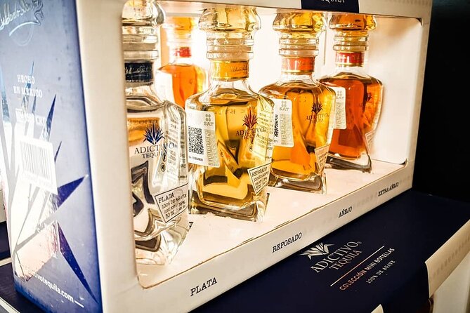 Cabo San Lucas Tequila Tasting Experience - How to prepare for the tasting