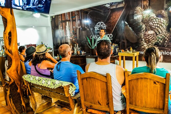 Cabo San Lucas Tequila Tasting Experience - The opening lesson: agave, tequila, and mezcal