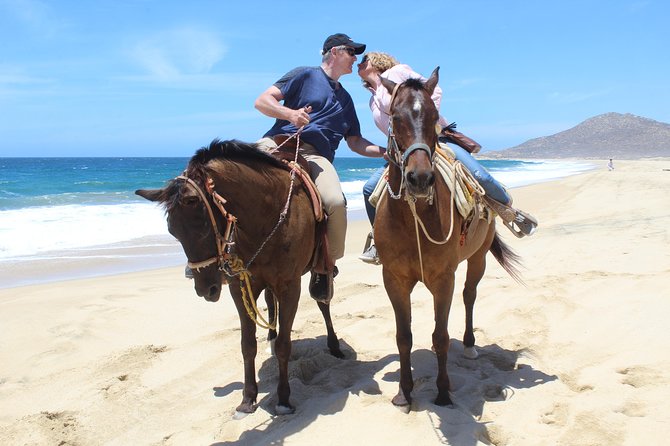 Cabo White Sand Horseback Riding Tour and Tequila Tasting - From cactus trails to a Pacific beach