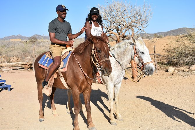 Cabo White Sand Horseback Riding Tour and Tequila Tasting - The tequila tasting is not always the same
