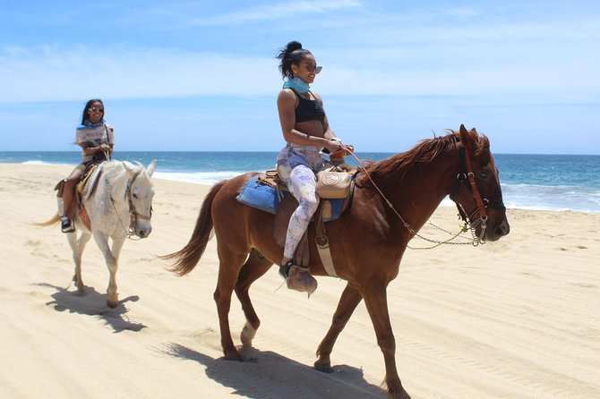Cabo White Sand Horseback Riding Tour and Tequila Tasting - The real cost: $85 plus the extras