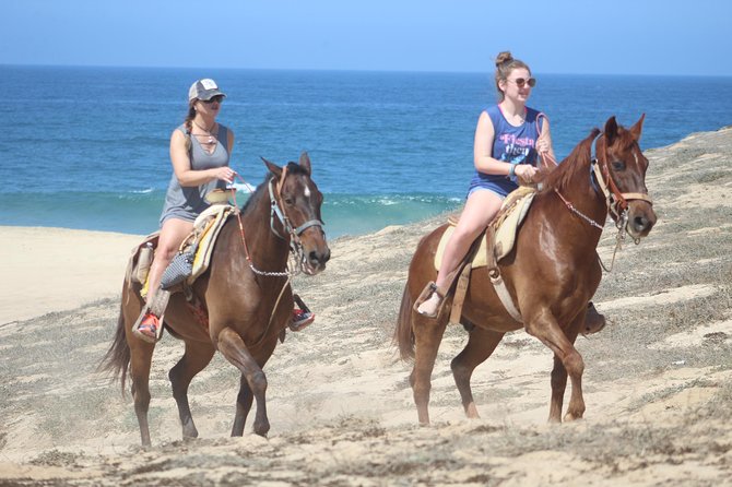 Cabo White Sand Horseback Riding Tour and Tequila Tasting - Timing, transport, and the two-hour promise