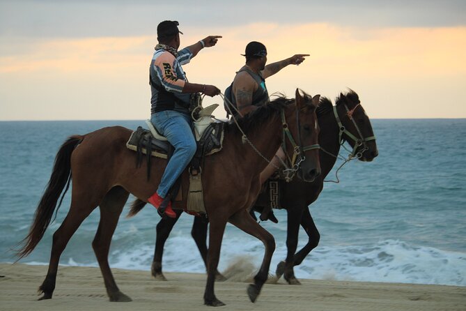 Cabo White Sand Horseback Riding Tour and Tequila Tasting - The setting: rustic, not polished