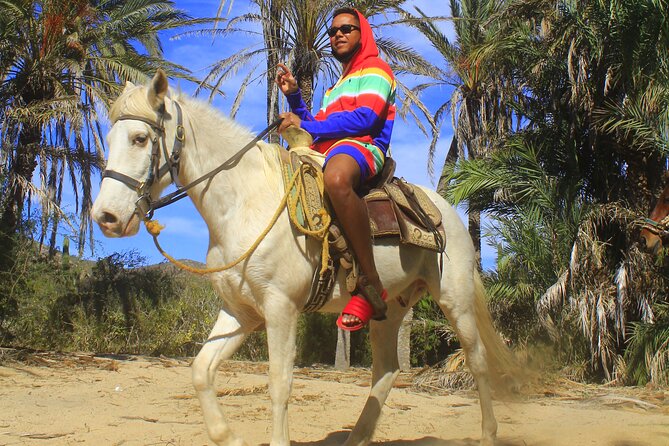 Cabo White Sand Horseback Riding Tour and Tequila Tasting - How to make the day better