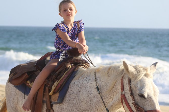 Cabo White Sand Horseback Riding Tour and Tequila Tasting - What the riding is really like