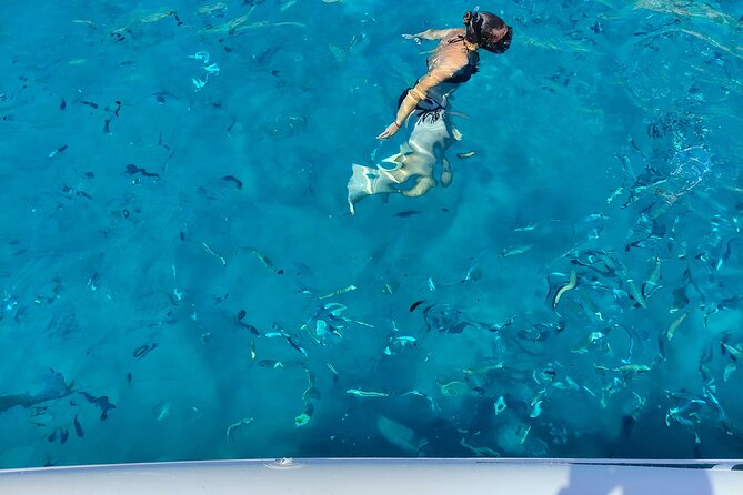 Cagliari Boat Tour with Sardatrips; Swim, Snorkeling, Sip & Snack - Why this boat trip is a good introduction to Cagliari