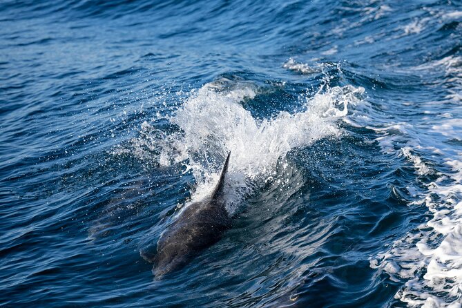 Cagliari Boat Tour with Sardatrips; Swim, Snorkeling, Sip & Snack - Natural pools below Sella del Diavolo