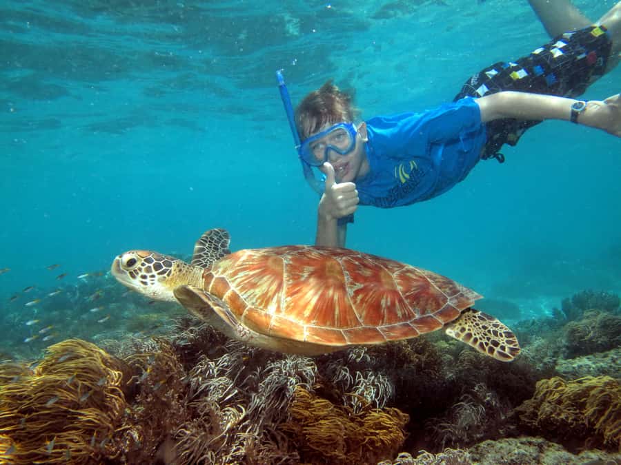 Cairns: Ocean Spirit Great Barrier Reef Full Day Tour - Why Michaelmas Cay makes this trip different