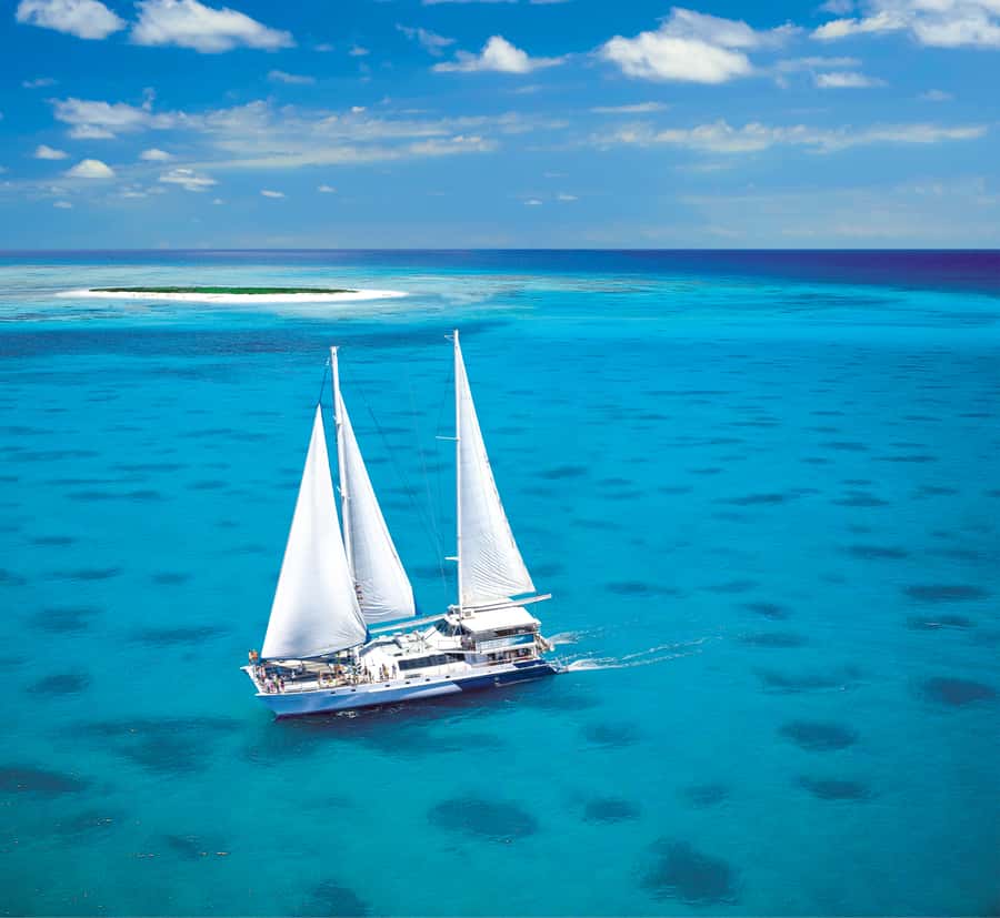 Cairns: Ocean Spirit Great Barrier Reef Full Day Tour - Four hours around the protected cay