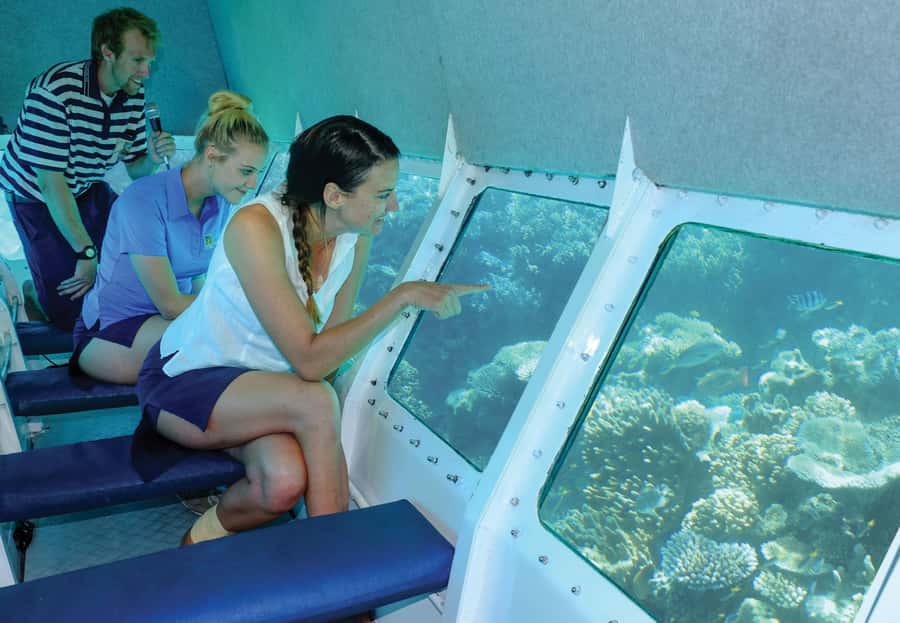 Cairns: Ocean Spirit Great Barrier Reef Full Day Tour - Who will enjoy this Cairns reef day?