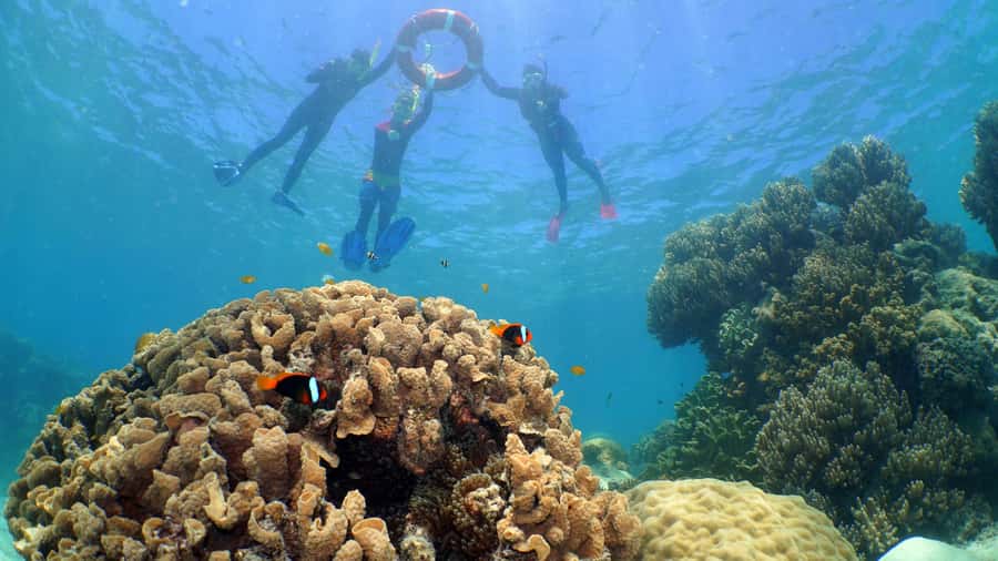 Cairns: Ocean Spirit Great Barrier Reef Full Day Tour - Is the $195 price good value?