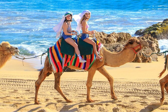 Camel Ride and UTV Combo Adventure, with Tequila Tasting - Trading camel power for Baja horsepower