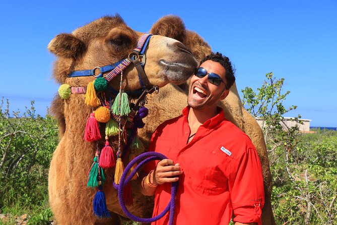 Camel Ride and UTV Combo Adventure, with Tequila Tasting - Dunes, cliffs, and Pacific views